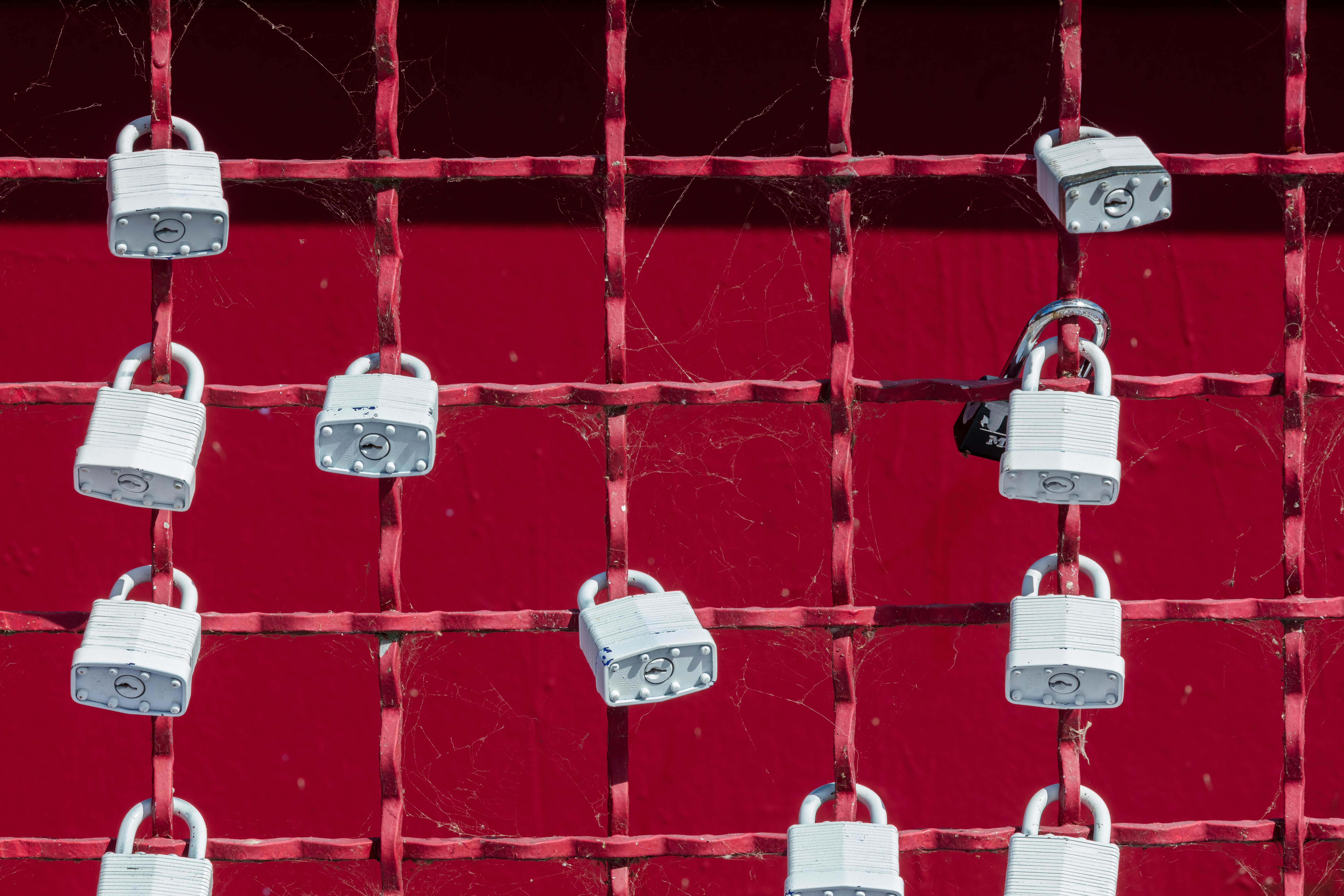 Padlocks on a red chain link fence.