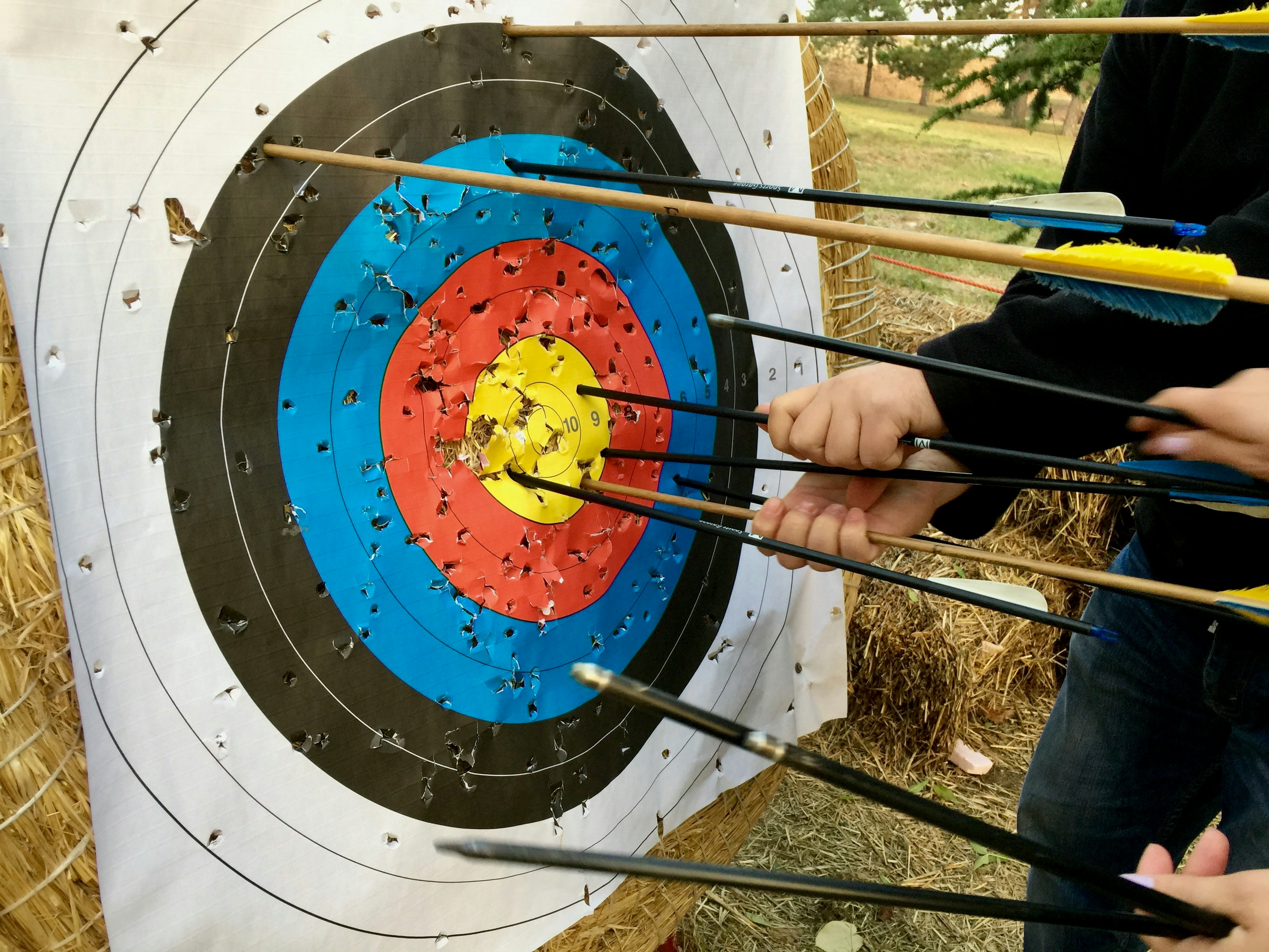 Close-up of a colorful archery target filled with arrows, with people pulling them out — symbolizing precision, focus, and repeated effort toward hitting the mark.