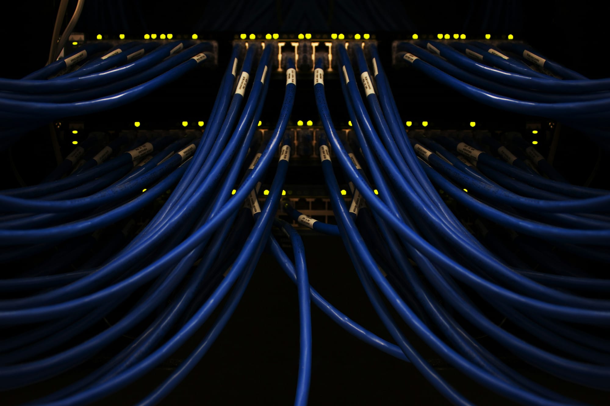 Close-up of blue network cables connected to a server rack with blinking indicator lights.