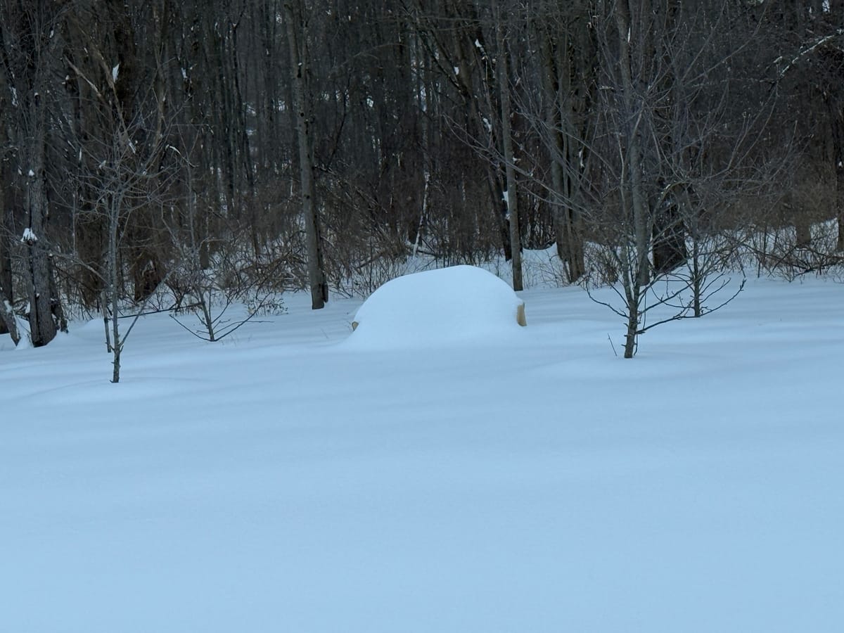 Snow-covered bench nearly buried in deep snow in a wooded area.